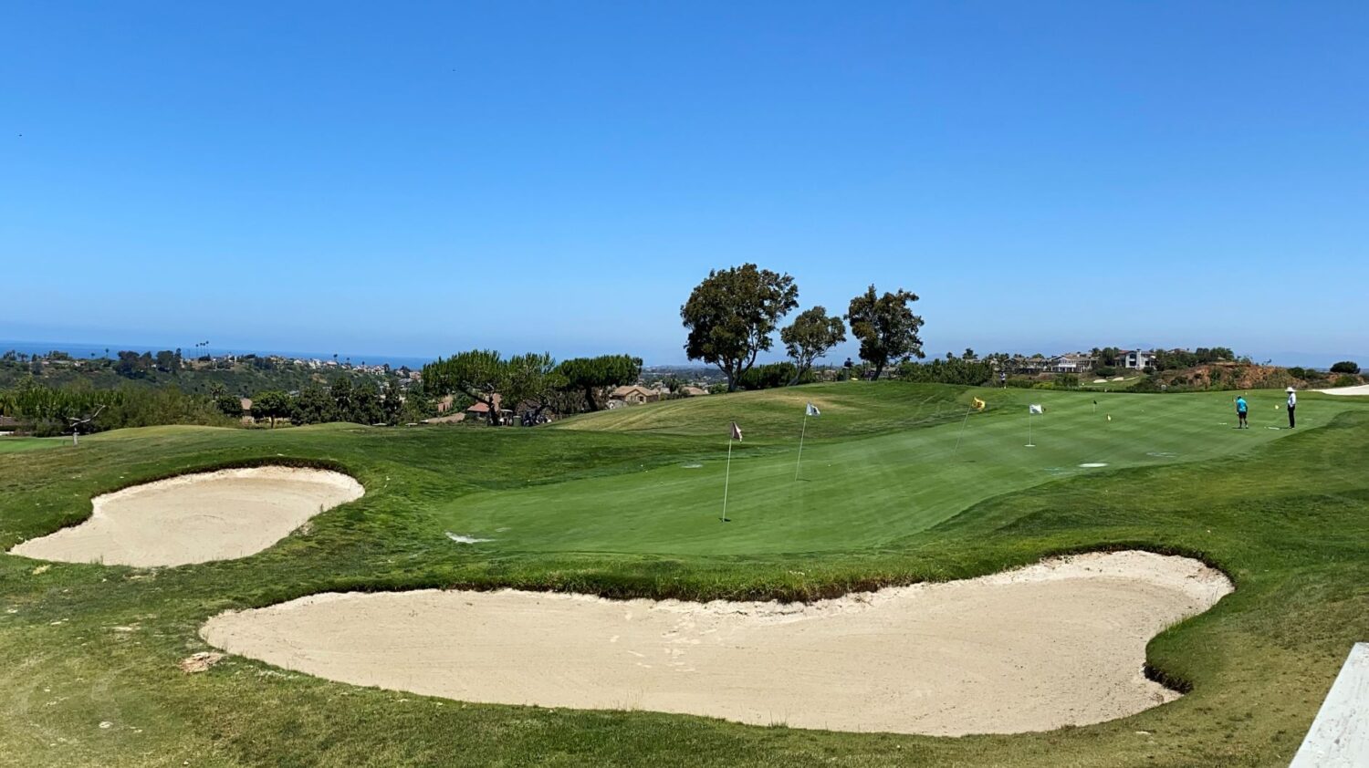 How do golf courses keep bermuda grass so green Trending Simple